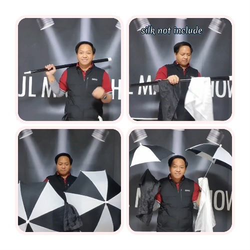 CANE TO TWIN UMBRELLA