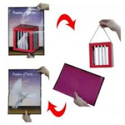 FREEDOM OF BIRD FREEDOM OF BIRD